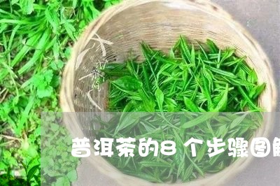 普洱茶的8个步骤图解法/2023110793627