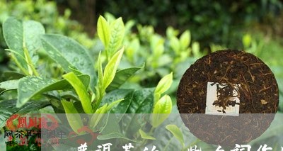 普洱茶的一些名词作用是什么/2023052822726