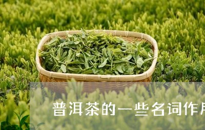 普洱茶的一些名词作用有哪些/2023082855829