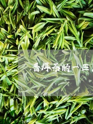 普洱茶的一匹黑马/2023120473914