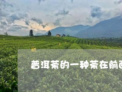 普洱茶的一种茶在前面/2023061916292