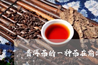 普洱茶的一种茶在前面/2023093075938