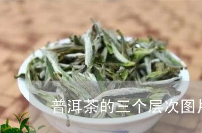 普洱茶的三个层次图片/2023080779624