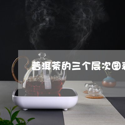 普洱茶的三个层次图表/2023063060794