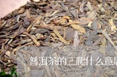 普洱茶的三爬什么意思/2023092733926