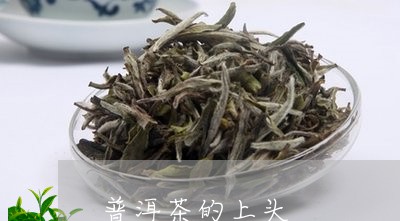 普洱茶的上头/2023042923041