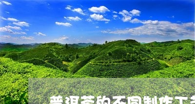 普洱茶的不同制作工艺流程/2023112408383