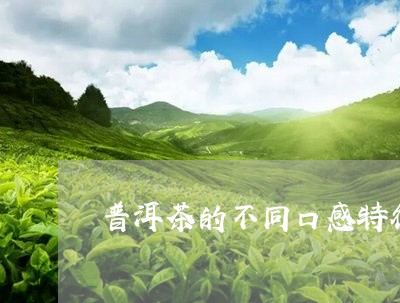 普洱茶的不同口感特征/2023101739462