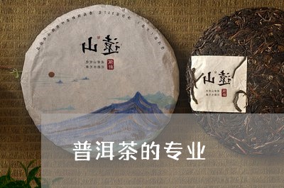 普洱茶的专业/2023081888078