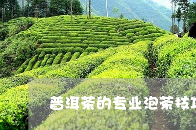 普洱茶的专业泡茶技巧与方法/2023052826369