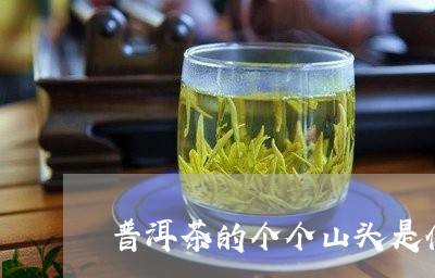 普洱茶的个个山头是什么茶/2023083075260