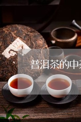 普洱茶的中茶/2023042865642