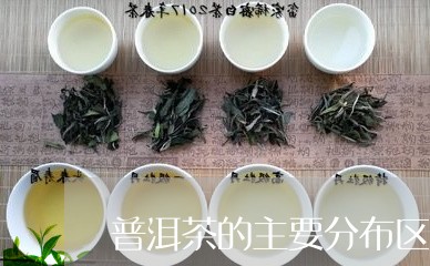 普洱茶的主要分布区域/2023072418493