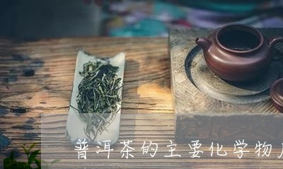 普洱茶的主要化学物质/2023092936157