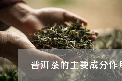 普洱茶的主要成分作用/2023092758370