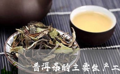 普洱茶的主要生产工艺/2023072494046