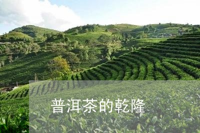 普洱茶的乾隆/2023042619184