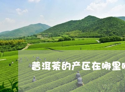 普洱茶的产区在哪里啊/2023120773151