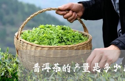 普洱茶的产量是多少斤/2023120733805