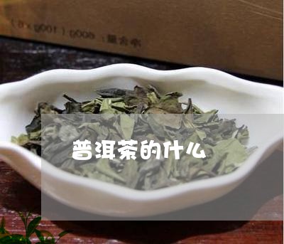 普洱茶的什么/2023042666269