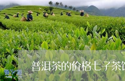 普洱茶的价格七子茶饼/2023062219261