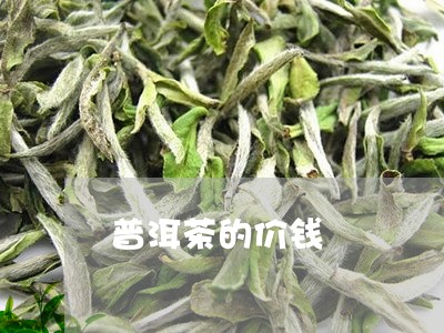 普洱茶的价钱/2023042966682