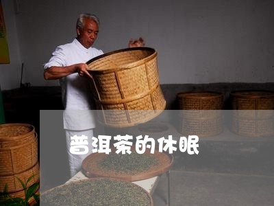 普洱茶的休眠/2023042633057