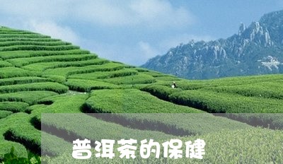 普洱茶的保健/2023042973627