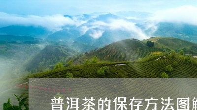 普洱茶的保存方法图解/2023100541817