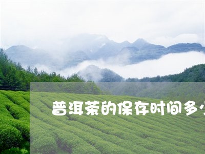 普洱茶的保存时间多少/2023080235282