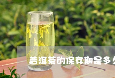 普洱茶的保存期是多久/2023072236149