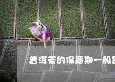 普洱茶的保质期一般是/2023061342616