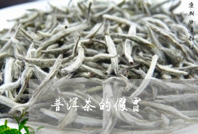 普洱茶的假冒/2023042711704