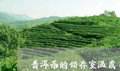 普洱茶的储存室温度多少/2023110109603