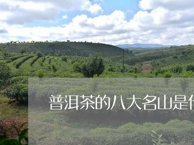 普洱茶的八大名山是什么/2023050624169