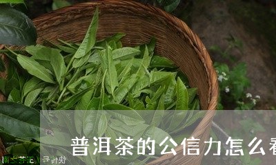 普洱茶的公信力怎么看/2023092917381