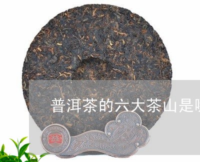 普洱茶的六大茶山是哪些/2023110775282