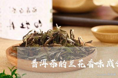 普洱茶的兰花香味成分/2023092927069