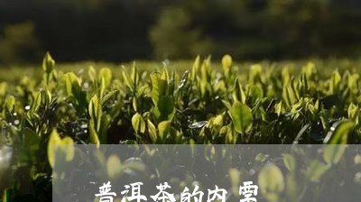 普洱茶的内票/2023042973296