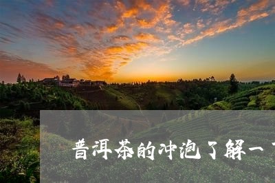 普洱茶的冲泡了解一下/2023061539483