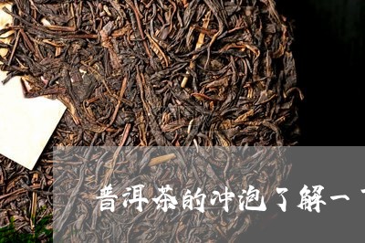 普洱茶的冲泡了解一下/2023092655160