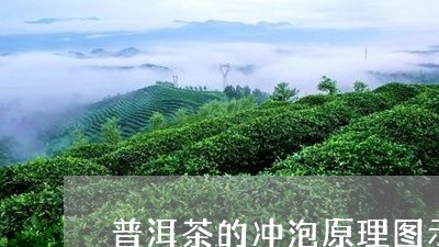 普洱茶的冲泡原理图示视频/2023110460593