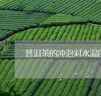 普洱茶的冲泡对水温的要求/2023110479392