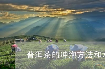 普洱茶的冲泡方法和水温是多少/2023110490795