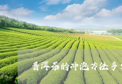 普洱茶的冲泡方法多少度水温最好/2023121784140