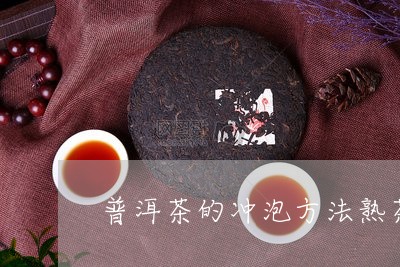 普洱茶的冲泡方法熟茶/2023080390472