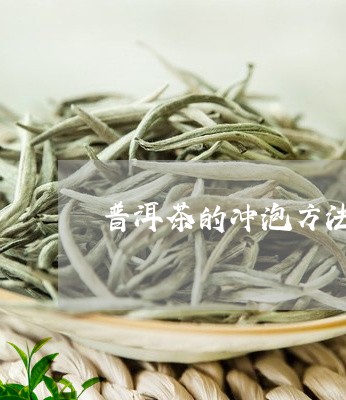 普洱茶的冲泡方法熟茶煮茶器/2023081570624