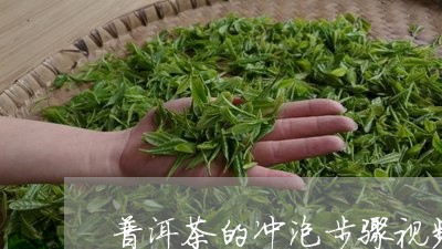 普洱茶的冲泡步骤视频/2023062706150