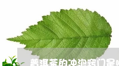 普洱茶的冲泡窍门是哪些/2023122618360