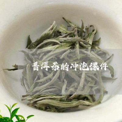 普洱茶的冲泡课件/2023110351936